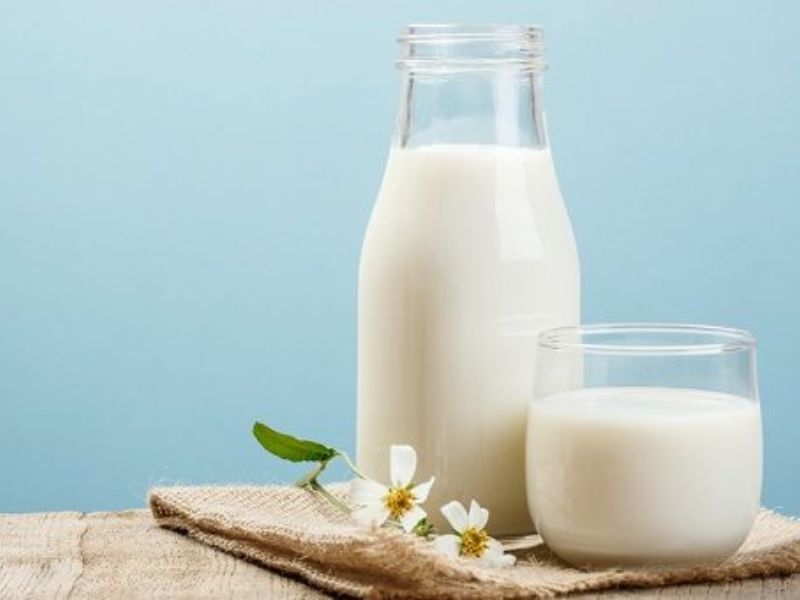 Cách bảo quản sữa tươi khi không có tủ lạnh